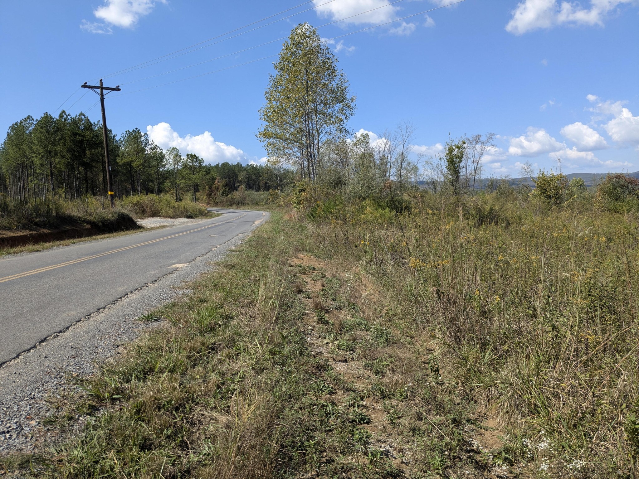 0 Shut In Gap Road Spring City, TN 37381 - Photo 2 of 7 Gallery Image 2