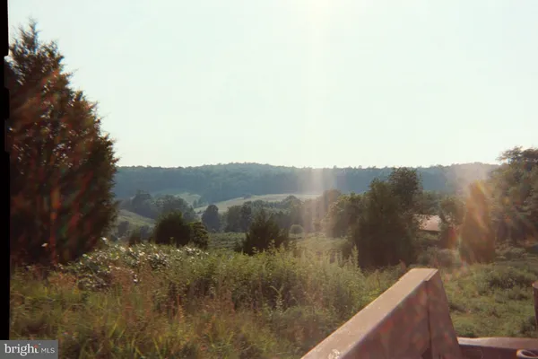 a view of a big yard with a tree