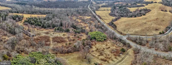 a view of a forest with trees