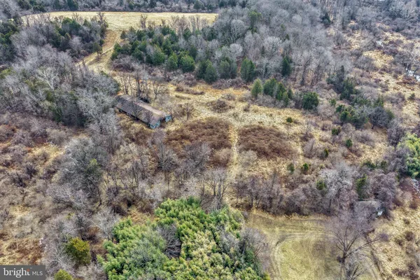 a view of a forest with trees
