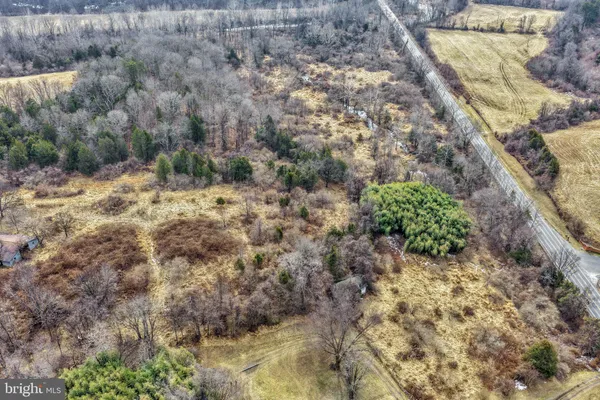 a view of a bunch of trees and bushes