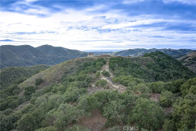an aerial view of houses covered in trees