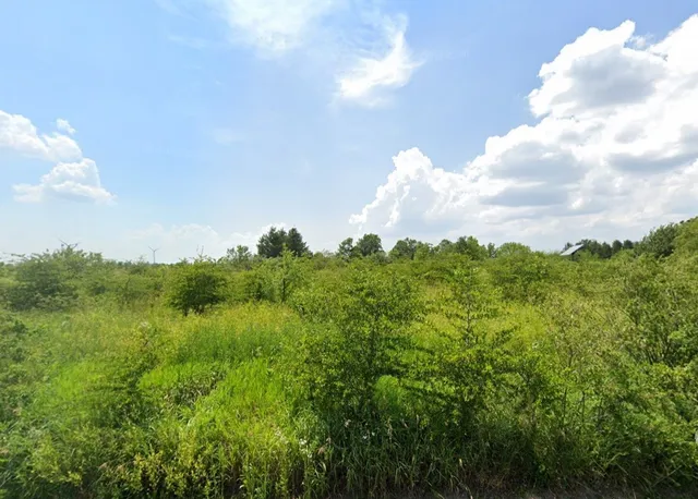 $16,000 | 139 Tamarind Court, Cabery, IL 60919