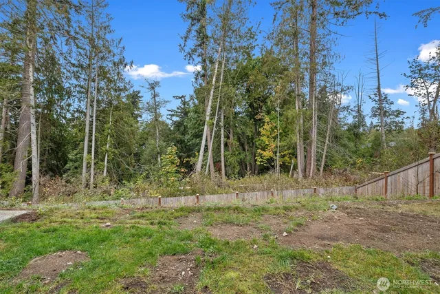 a view of outdoor space with green space