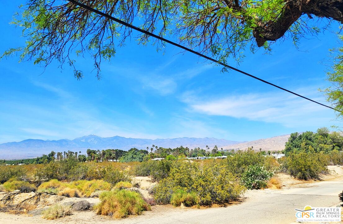 18555 Roberts Road, Unit 103 Desert Hot Springs, CA 92241 - Photo 26 of 30 a view of a yard with a tree
