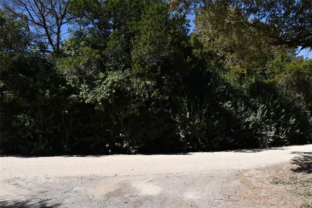 a view of outdoor space with trees all around