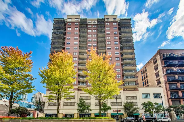 $3,500 | 5 East 14th Place, Unit 501, Chicago, IL 60605