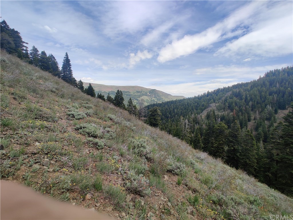 0 County Road Fort Bidwell, CA 96112 - Photo 33 of 33 Gallery Image 33
