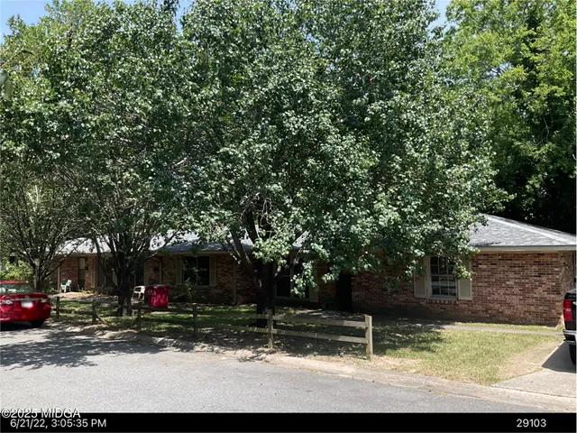 a view of a park with large trees and plants