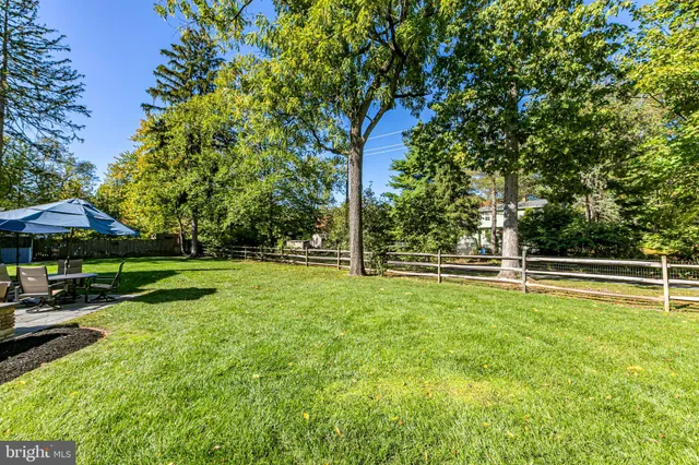 a view of a park with large trees
