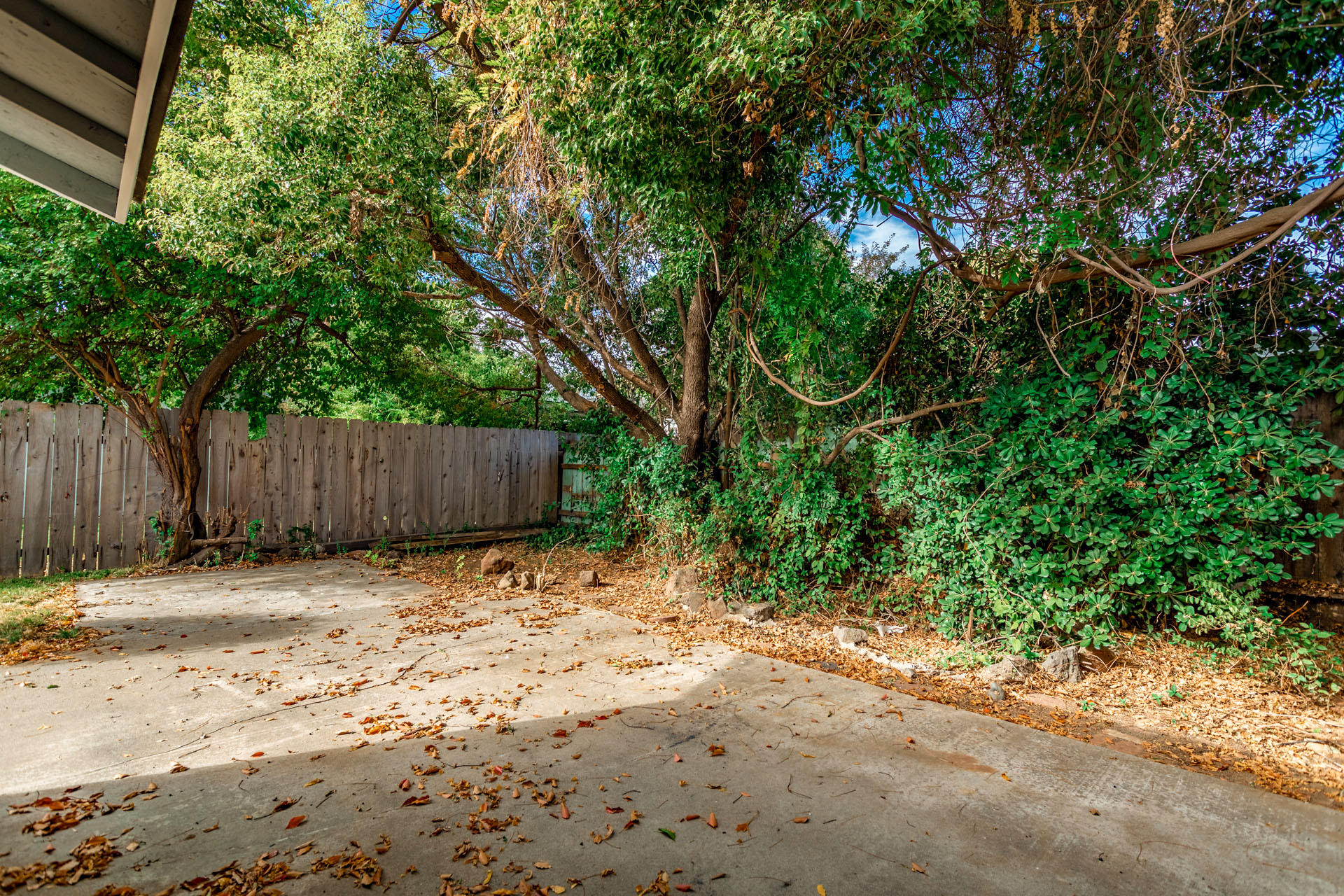 329 Michael Drive Red Bluff, CA 96080 - Photo 15 of 19 56 backyard