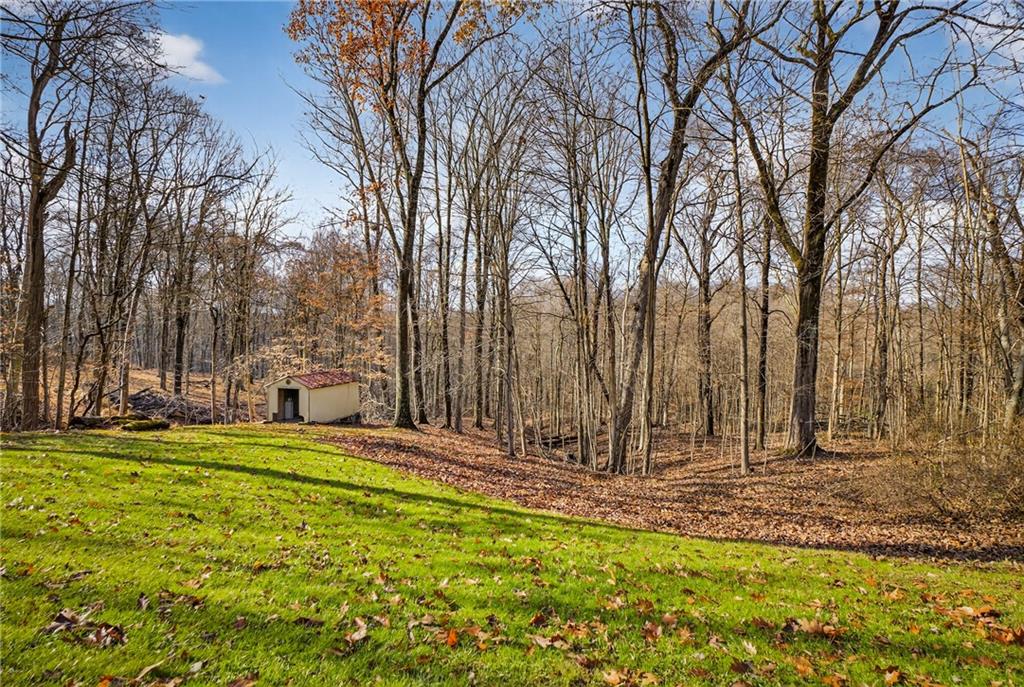305 East Buffalo Church Road Washington, PA 15301 - Photo 41 of 49 Backyard...