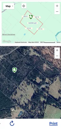 a view of a painting of a field