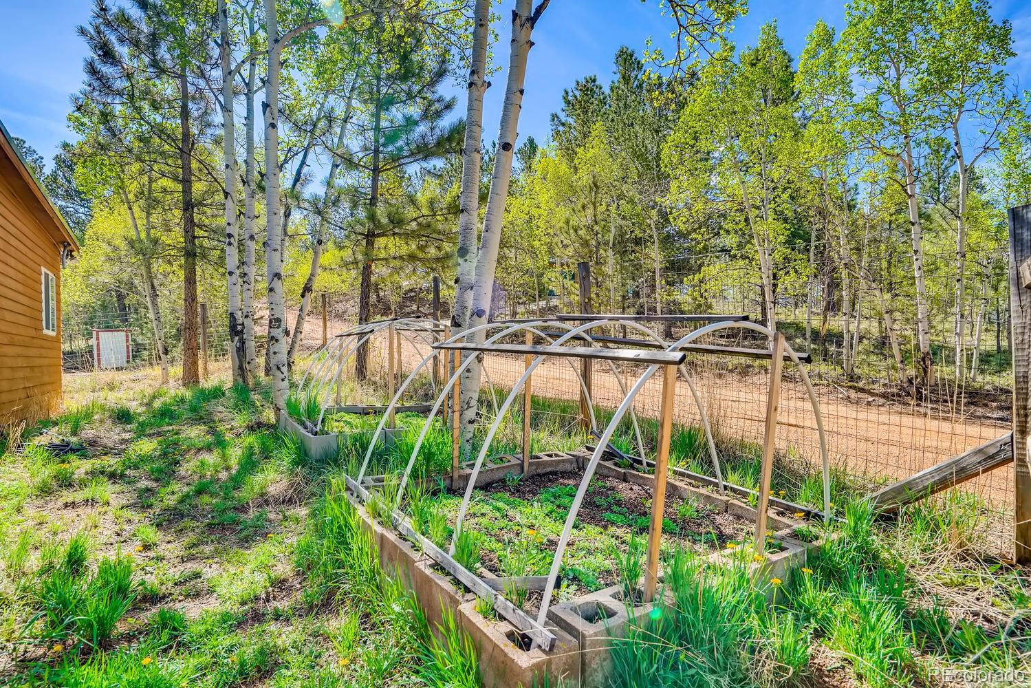 331 Jones Road Bailey, CO 80421 - Photo 20 of 30
