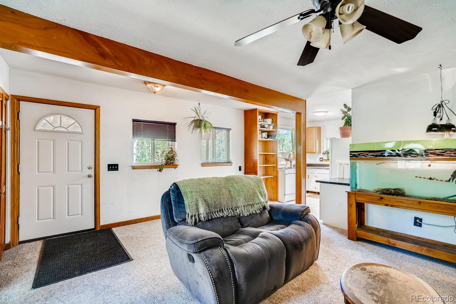 331 Jones Road Bailey, CO 80421 - Photo 6 of 30
