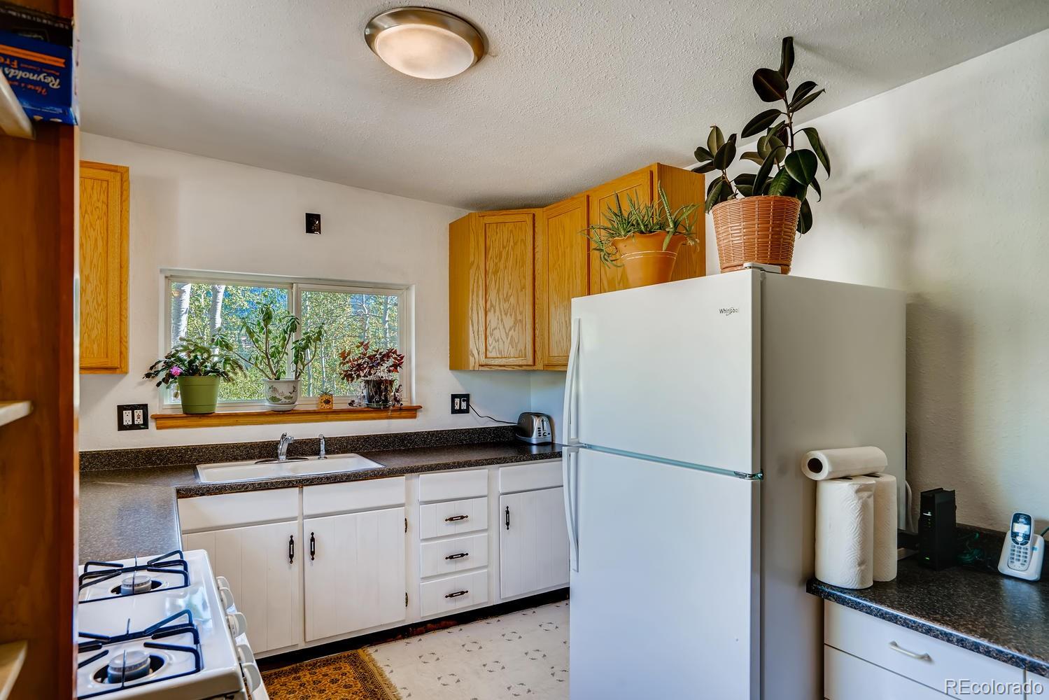 331 Jones Road Bailey, CO 80421 - Photo 8 of 30