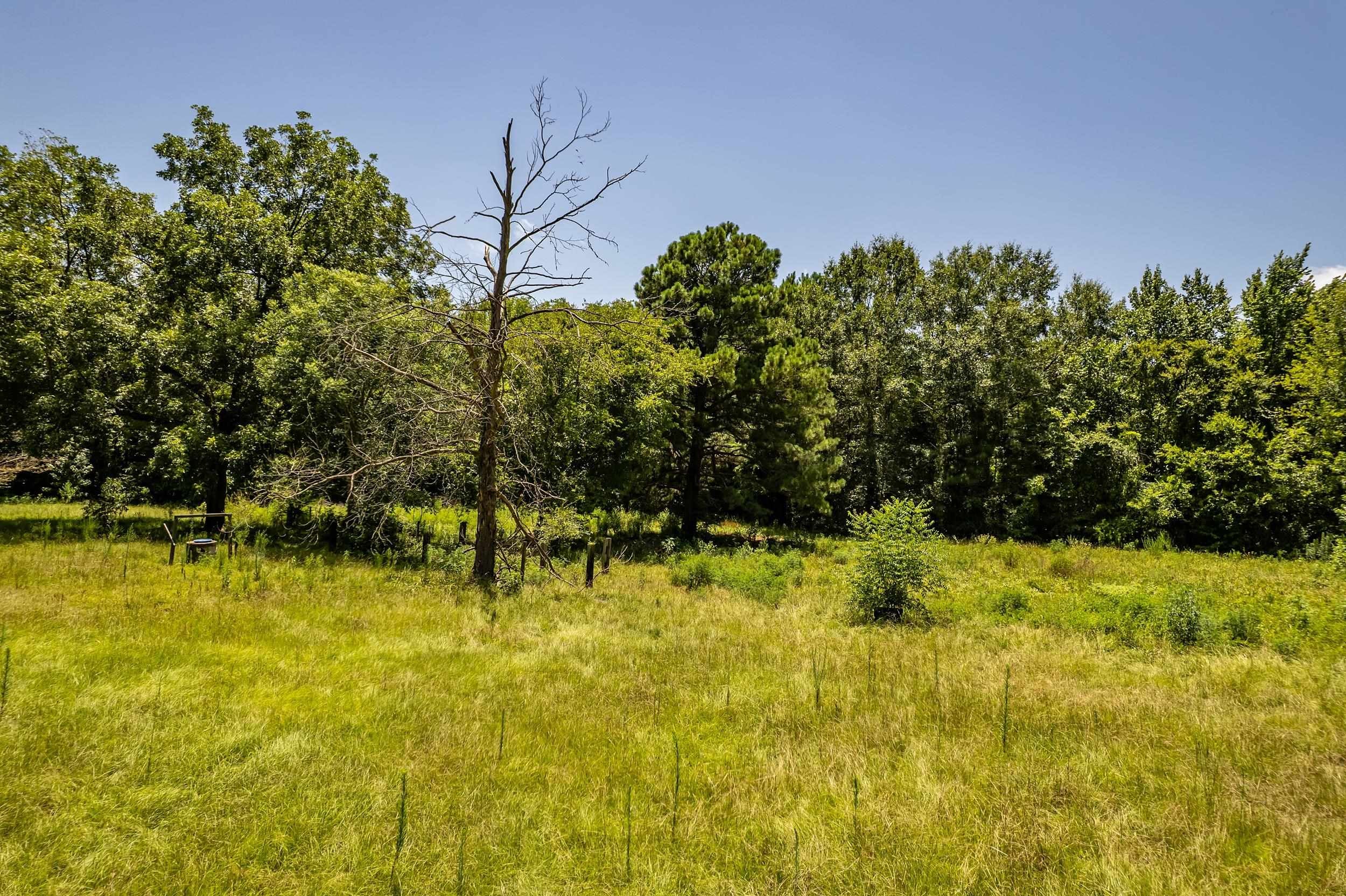 2780 Poppy Road Gilmer, TX 75644 - Photo 34 of 36 Gallery Image 34