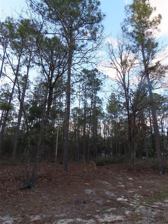 Tba Southwest 90th Loop Dunnellon, FL 34431 - Photo 1 of 1 Gallery Image 1
