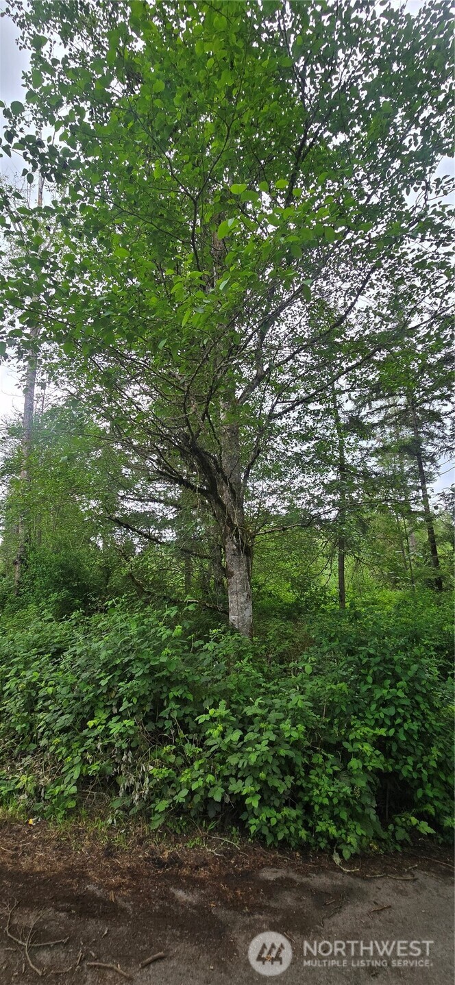 0 Port Gamble Road Northeast Poulsbo, WA 98370 - Photo 10 of 15
