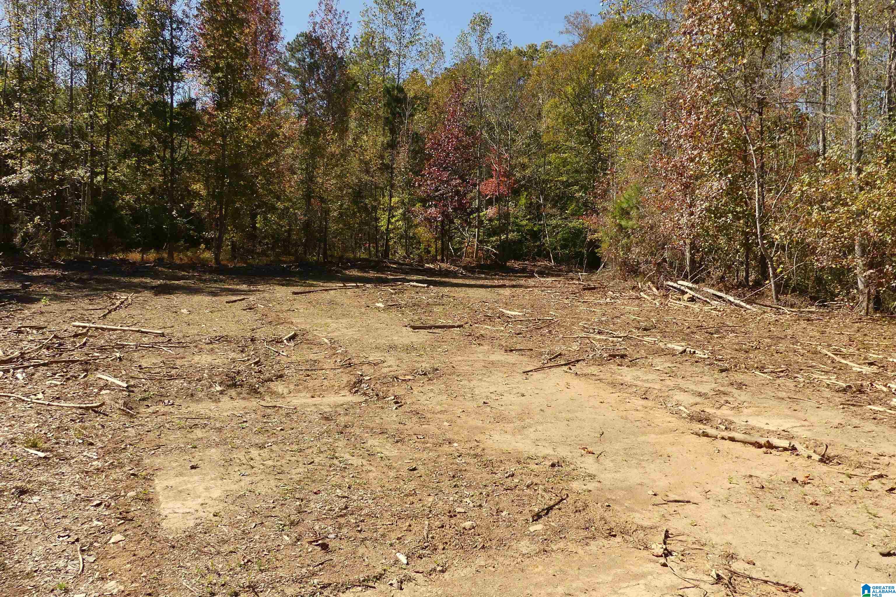 540 Newell Al Heflin, AL 36264 - Photo 4 of 22