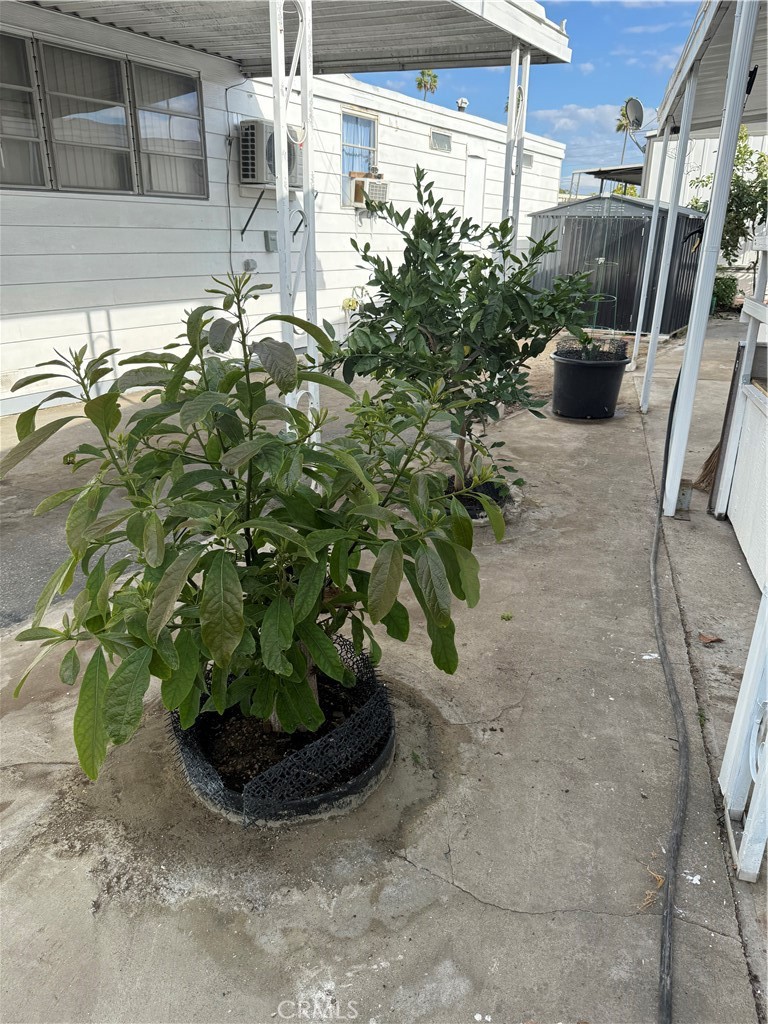 4117 West McFadden Avenue Santa Ana, CA 92704 - Photo 26 of 26 a view of a potted plant in a yard