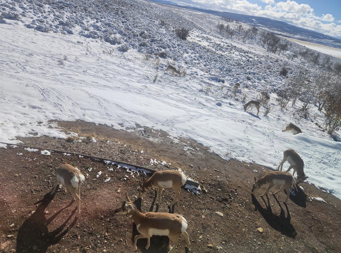 1937 Mill Creek Road Evanston, WY 82930 - Photo 45 of 49