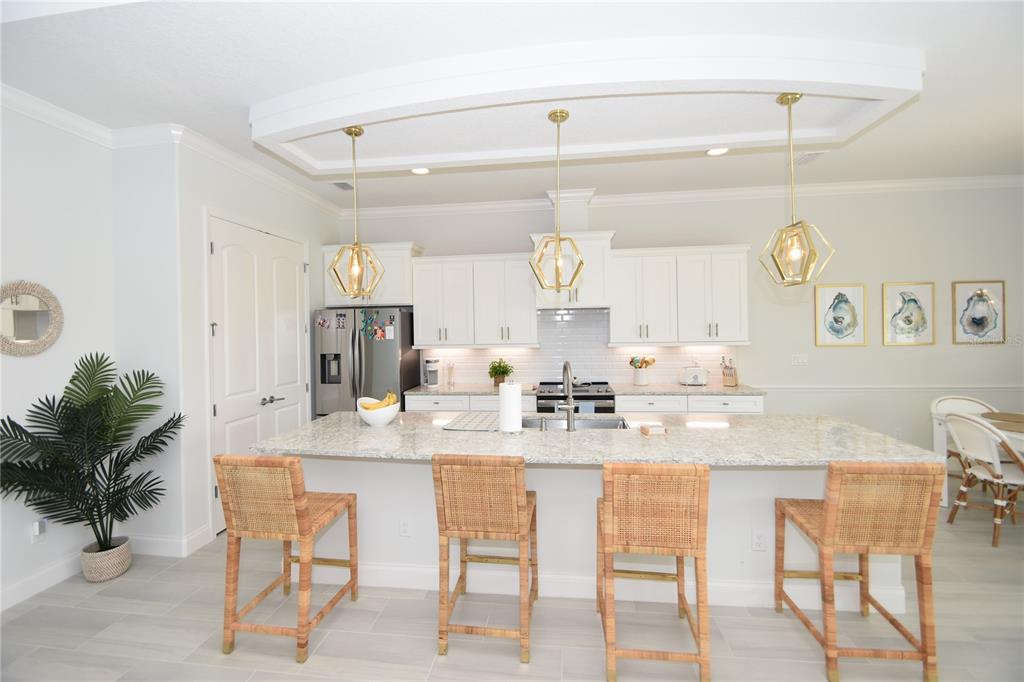 114 Del Palma Drive Palm Coast, FL 32137 - Photo 8 of 63 a kitchen with granite countertop lots of white furniture and wooden floor