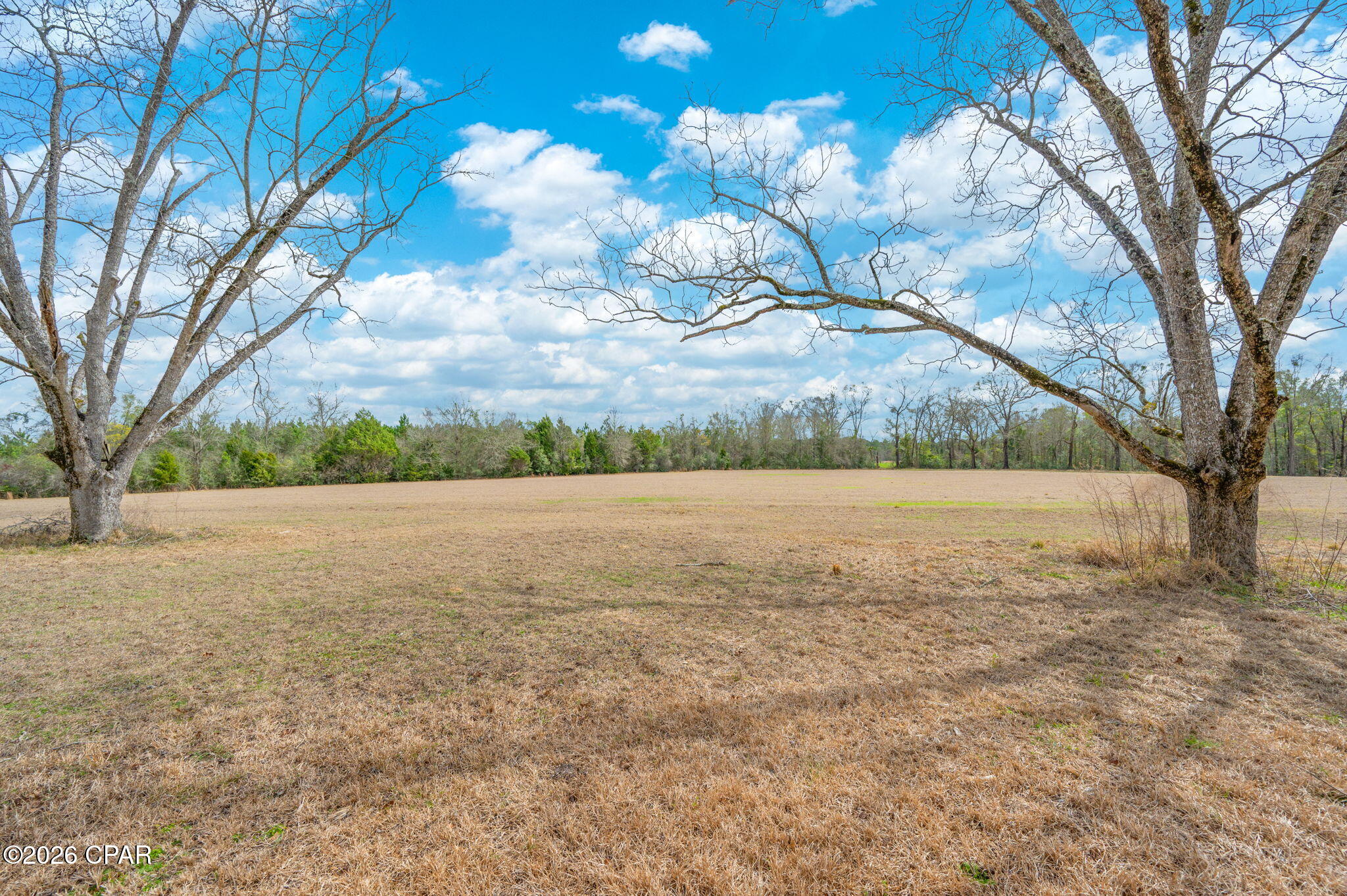 686 Alford Road DeFuniak Springs, FL 32433 - Photo 43 of 55