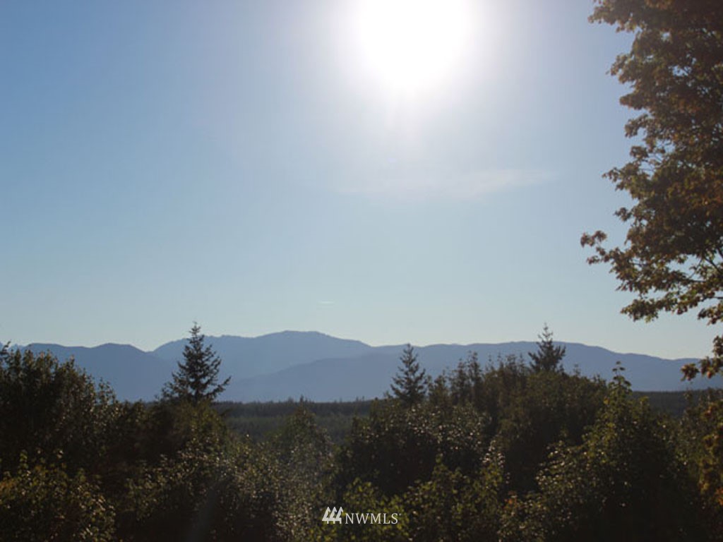 890 No Name Road Port Ludlow, WA 98365 - Photo 15 of 15