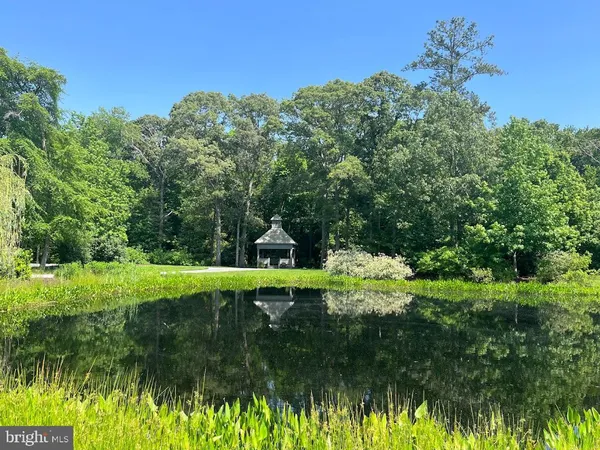 a big yard with lots of green space and plants
