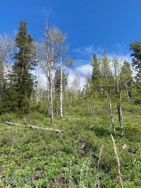 1798 West Alexander Canyon Road Coalville, UT 84017 - Photo 5 of 13