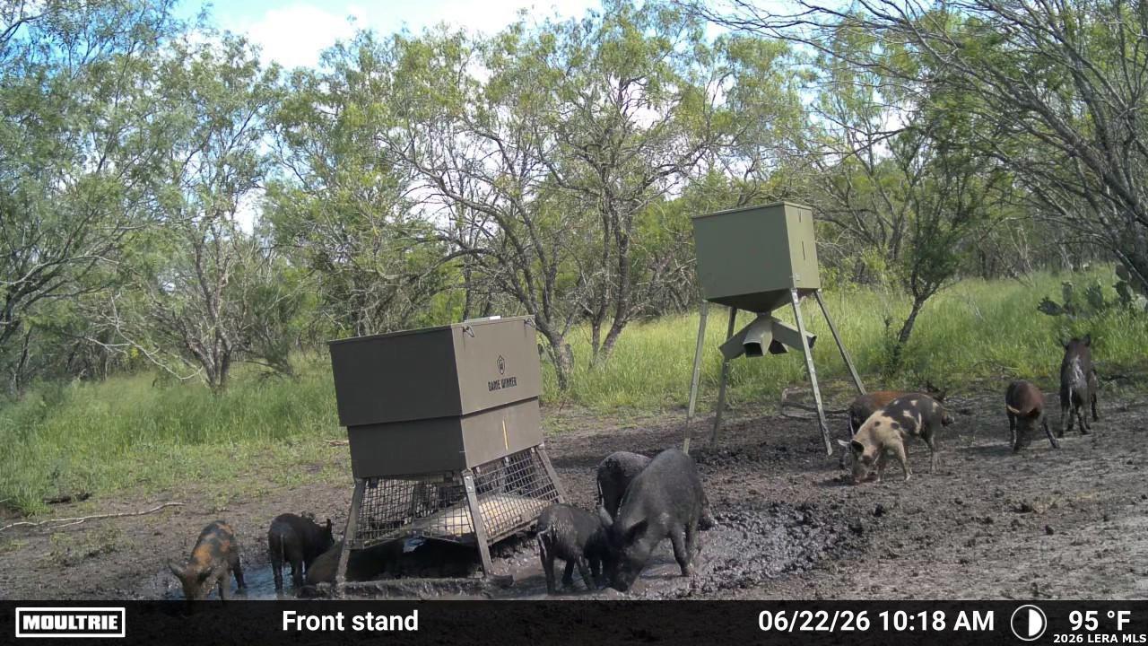 0 Cr 241 Three Rivers, TX 78071 - Photo 12 of 19