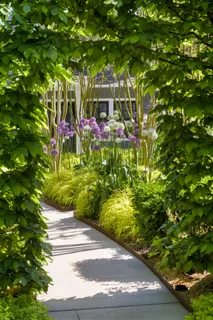 a view of a garden with plants