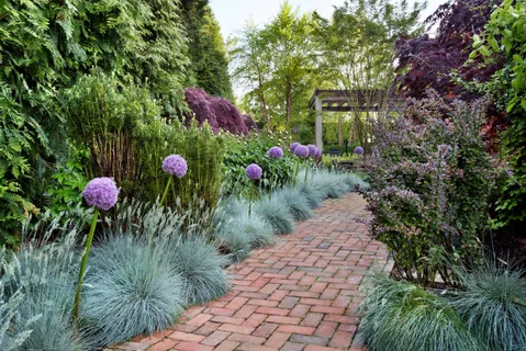a view of a garden with plants