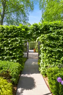 a aerial view of a house with a yard