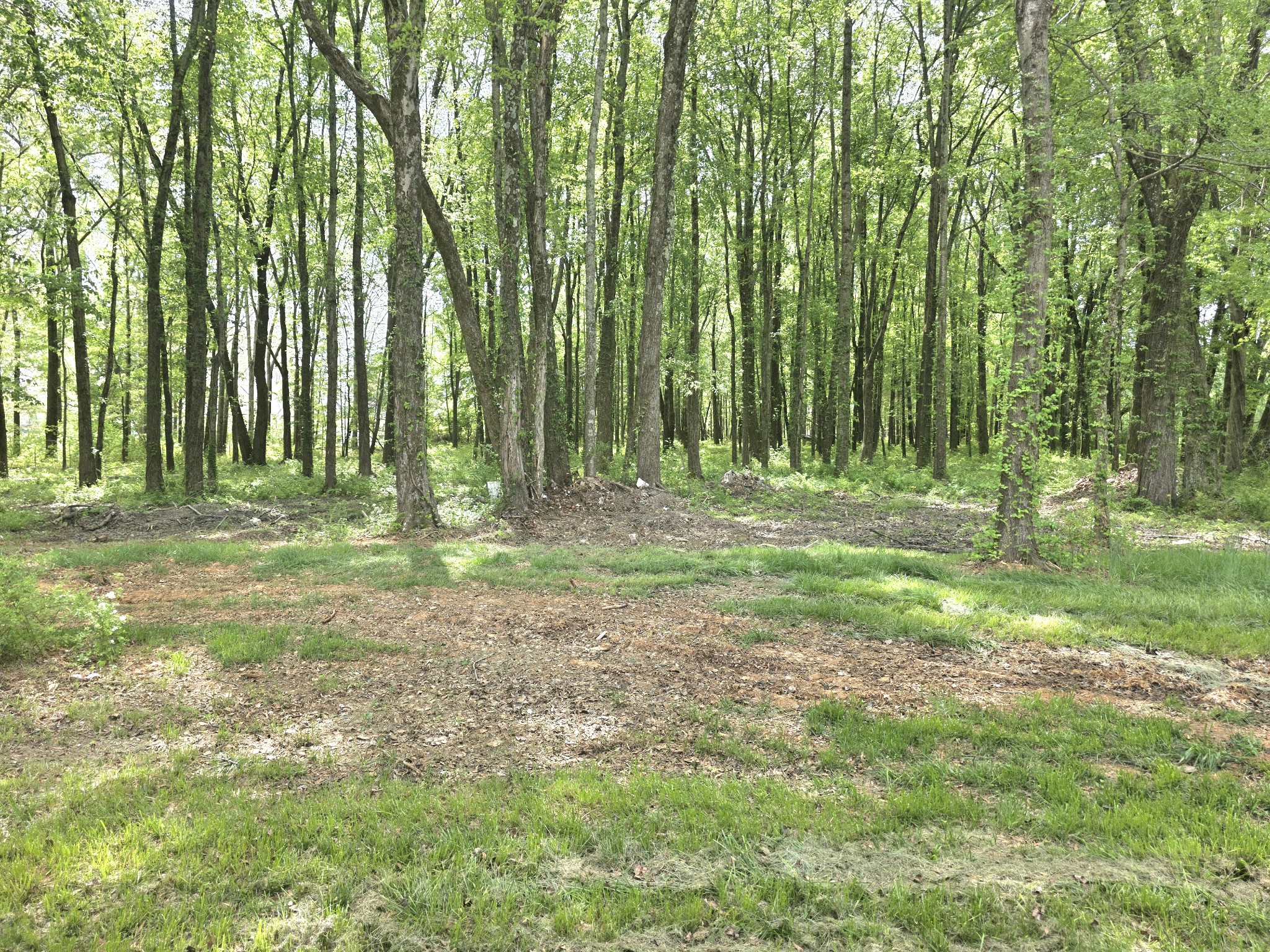 1151 Dry Creek Road Smithville, TN 37166 - Photo 45 of 65
