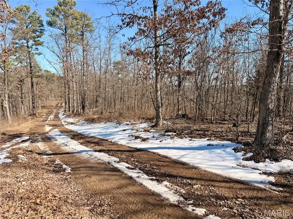 $40,960 | 121 A Madison Cr, Fredericktown, MO 63645