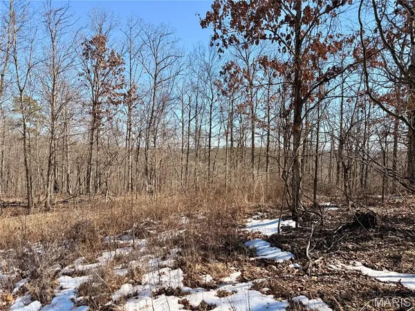 $40,960 | 121 A Madison Cr, Fredericktown, MO 63645