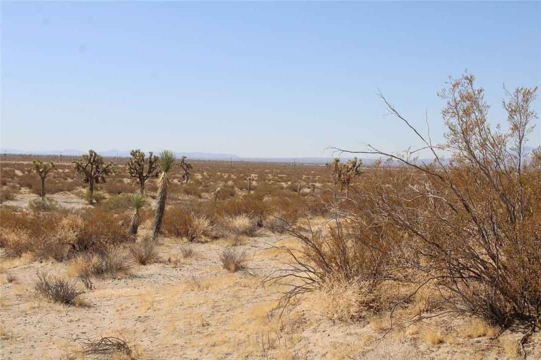 21 Lessing Avenue Adelanto, CA 92301 - Photo 7 of 11