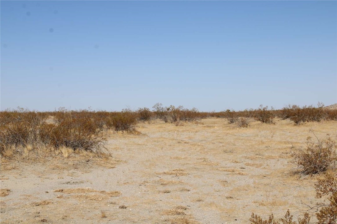 21 Lessing Avenue Adelanto, CA 92301 - Photo 8 of 11