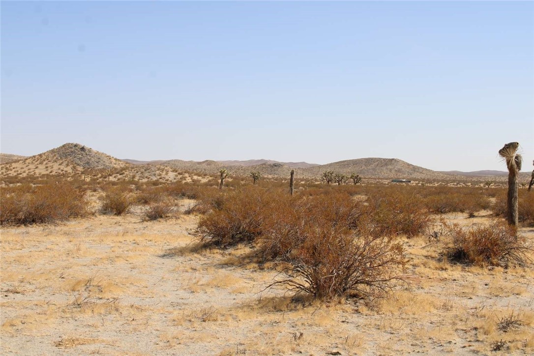 21 Lessing Avenue Adelanto, CA 92301 - Photo 9 of 11