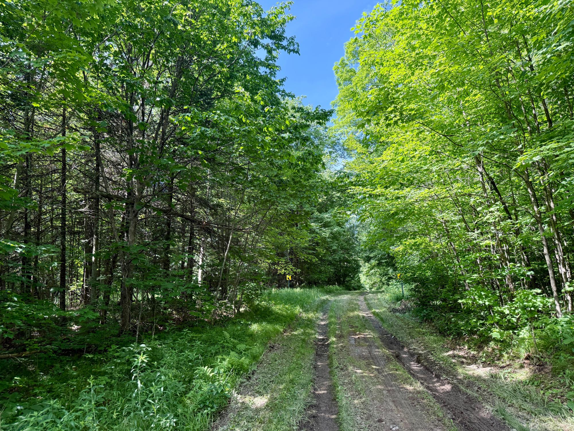 N2410 Kienbaum Road, Unit 2410 Merrill, WI 54452 - Photo 29 of 38 Gallery Image 29