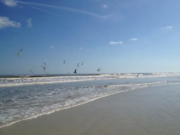 a view of a ocean beach