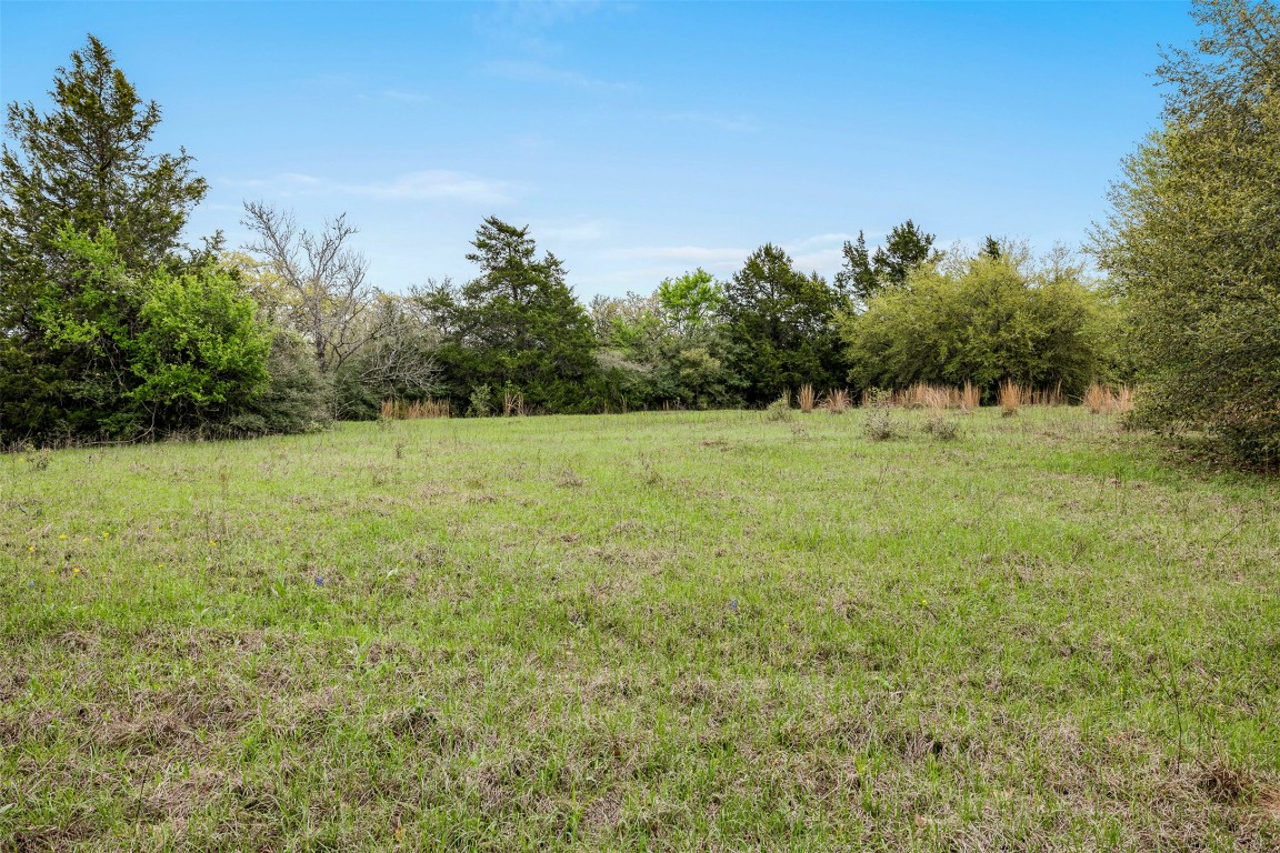 433 Dime Dime Box, TX 77853 - Photo 12 of 24 a view of a field with an trees in the background