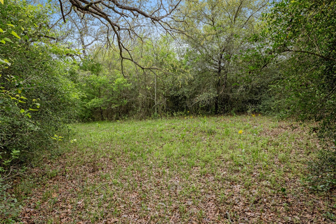 433 Dime Dime Box, TX 77853 - Photo 13 of 24 a view of outdoor space with trees all around
