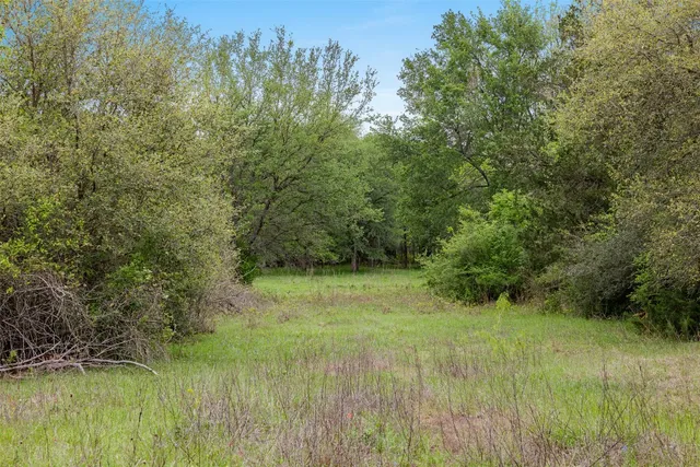 a big yard with lots of green space and deers