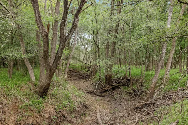 an aerial view of a houses with outdoor space and trees all around