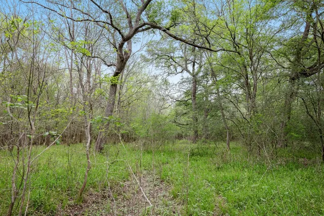 a view of a field of grass and trees