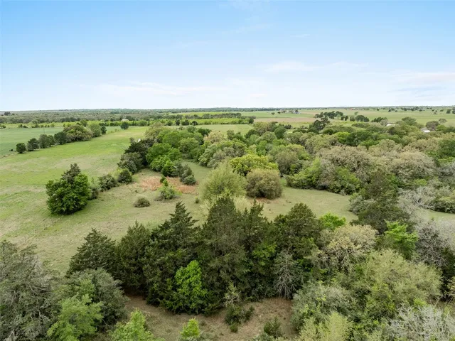 a view of a green field with lots of bushes