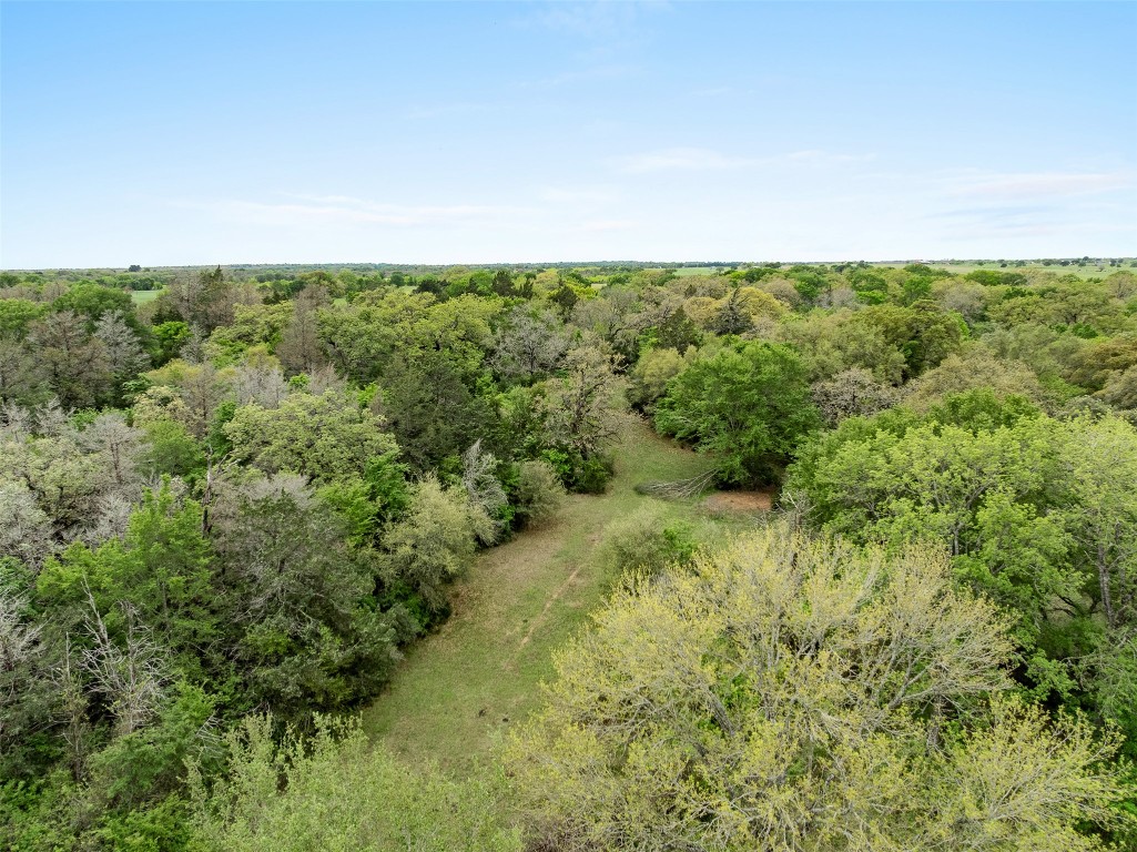 433 Dime Dime Box, TX 77853 - Photo 23 of 24 a view of a field of grass and trees